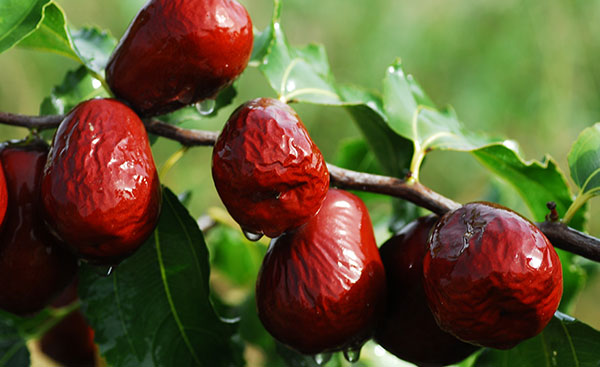 ����Ĺ�Ч������ ��������Щ������Ч